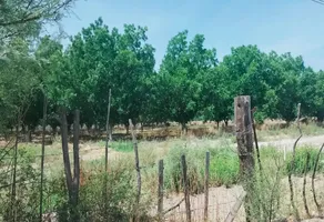 Foto de inmueble en AVENIDA LAS PALMERAS #3, Col. Del Refugio C.P. 27989, Parras