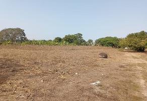 Foto de inmueble en Av Río Grijalva, Col. Fracción las Palmas C.P. 30818, Tapachula