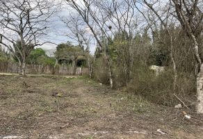 Foto de inmueble en TERRACERIA, Col. 20 de Noviembre C.P. 91230, Tlalnelhuayocan