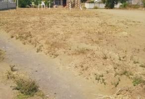Foto de inmueble en 62828 Amp. Yecapixteca, Mor. #s/n, Col. Pazulco C.P. 62828, Yecapixtla