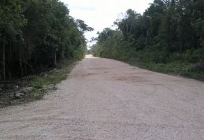 Foto de inmueble en Eco Park Perimeter Rd, Col. Cancún Centro C.P. 77500, Benito Juárez