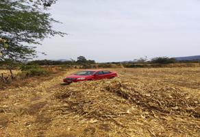 Foto de inmueble en Quetzal #s/n, Col. Los Cedros C.P. 45850, Ixtlahuacán de los Membrillos