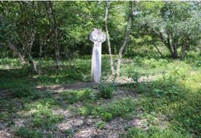 Foto de inmueble en vergel #lote 4, Col. Fraccionamiento el edén C.P. 29140, Ocozocoautla de Espinosa