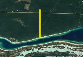 Foto de inmueble en  , Col. Bacalar Centro C.P. 77930, Bacalar