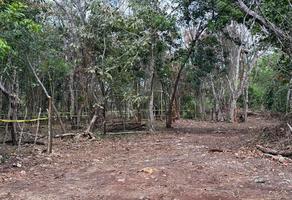 Foto de inmueble en  , Col. Bacalar Centro C.P. 77930, Bacalar