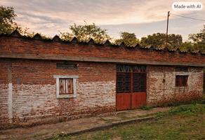 Foto de inmueble en  , Col. Bajío de La Leona C.P. 28597, Cuauhtémoc