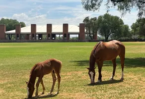 Foto de inmueble en Balvanera Polo & Country Club #30, Col. Corregidora C.P. 76220, Querétaro