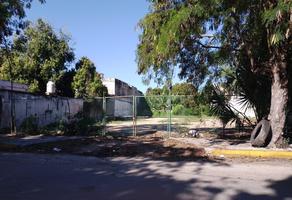 Foto de inmueble en , Col. Barrio Bravo C.P. 77098, Othón P. Blanco