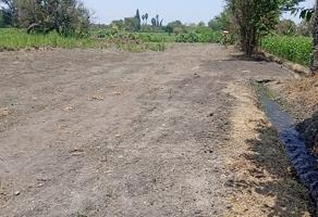 Foto de inmueble en Francisco Imadero #s/n, Col. Huepalo C.P. 62773, Tlaltizapán de Zapata