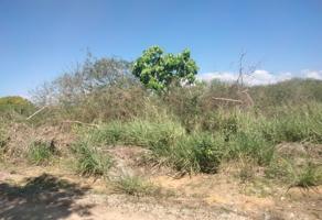 Foto de inmueble en Guerrero #SnInt. Sn, Col. La Saladita C.P. 40803, La Unión de Isidoro Montes de Oca