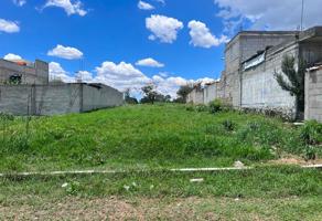 Foto de inmueble en PROGRESO #S/N, Col. Teotitla C.P. 90193, Santa Isabel Xiloxoxtla