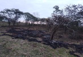 Foto de inmueble en Parcela 99,  91637,  :Lencero, El Chico, Ver. #91637, Col. Exhacienda el Lencero C.P. 91640, Emiliano Zapata