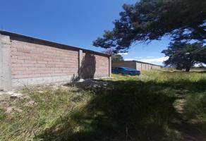 Foto de inmueble en HIDALGO, Col. Cuatla C.P. 90440, Xaltocan