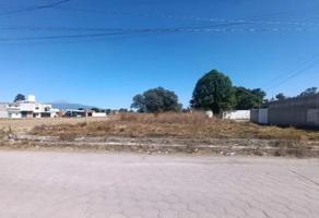 Foto de inmueble en CRISTOBAL COLON, Col. Exquitla C.P. 90750, Zacatelco
