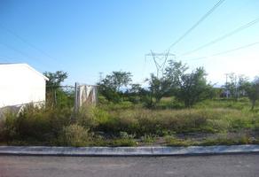 Foto de inmueble en BONAMPAK #S, Col. Residencial Terranova C.P. 67267, Juárez