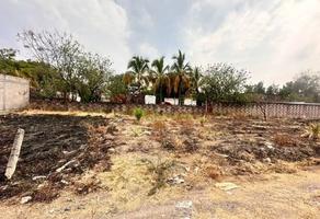 Foto de inmueble en  , Col. Brisas de Cuautla C.P. 62757, Cuautla