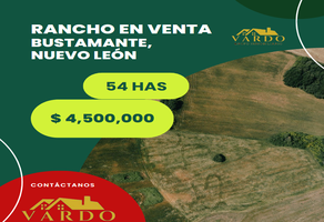 Foto de inmueble en  , Col. Bustamante C.P. 65150, Bustamante