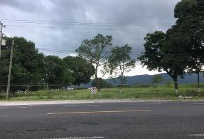 Foto de inmueble en CARRETERA FEDERAL A VERACRUZ , Col. Venta Parada C.P. 94954, Amatlán de los Reyes