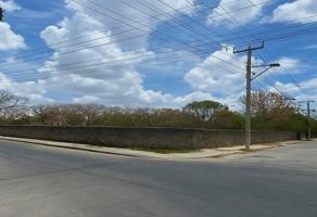 Foto de inmueble en 78 #34Int. 11, Col. Delio Moreno Canton C.P. 97268, Mérida
