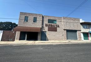 Foto de inmueble en AV MALINTZI, Col. Texcacoac C.P. 90806, Chiautempan