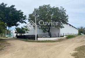 Foto de inmueble en C3WV+X7F Ricardo Flores Magón, Tamaulipas, Col. Real Altamira C.P. 89603, Altamira