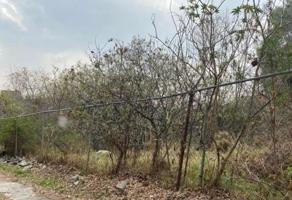 Foto de inmueble en FORTIN, Col. Barranca Seca C.P. 10580, La Magdalena Contreras