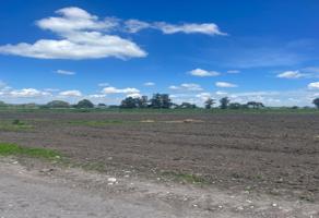 Foto de inmueble en San Francisco del Rincón, Gto., Col. El Maguey C.P. 36446, San Francisco del Rincón