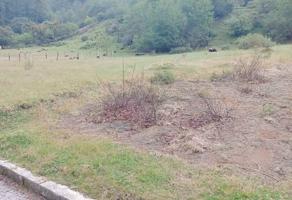 Foto de inmueble en Guadalupe Victoria #sn, Col. San Pedro Xoloco C.P. 73968, Teziutlán
