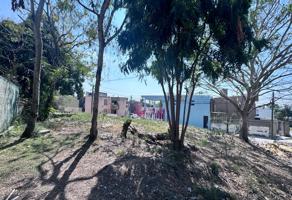 Foto de inmueble en Sicomoro, Jardines de Champayán, 89358 Tampico, Tamps. #s/n, Col. Valle Escondido C.P. 89358, Tampico