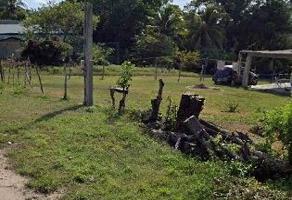 Foto de inmueble en ORQUIDEA #112, Col. Jardín C.P. 89840, El Mante