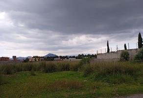 Foto de inmueble en CACALOMACÁN, Col. San Miguel Zacango C.P. 50265, Toluca