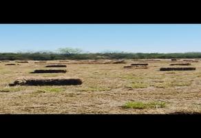 Foto de inmueble en  , Col. Cadereyta C.P. 67485, Cadereyta Jiménez