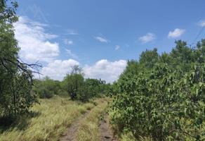 Foto de inmueble en , Col. Cadereyta C.P. 67485, Cadereyta Jiménez