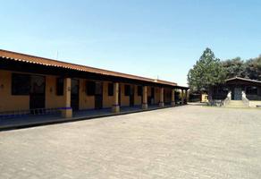 Foto de inmueble en Calle, Col. Almoloya de Juárez Centro C.P. 50900, Almoloya de Juárez