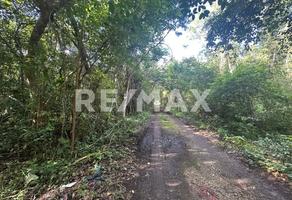 Foto de inmueble en Calle del acceso, Col. Campestre C.P. 77535, Benito Juárez