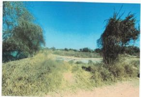 Foto de inmueble en Calle USE, Col. Tres Ríos C.P. 80020, Culiacán