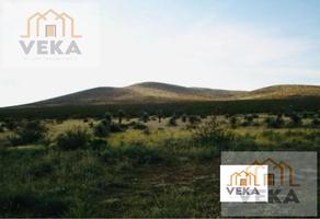 Foto de inmueble en  , Col. Camargo C.P. 88440, Camargo