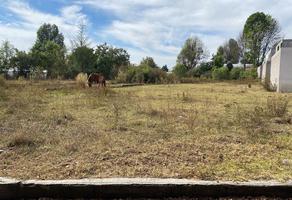 Foto de inmueble en Camino a Coxcacuaco, Col. Villa Guerrero C.P. 51760, Villa Guerrero