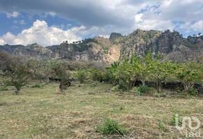 Foto de inmueble en Camino a Xaltitla, Col. Santo Domingo Ocotitlán C.P. 62524, Tepoztlán