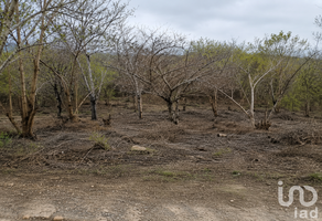 Foto de inmueble en Camino al Coyote, Col. San Pedro Pochutla Centro C.P. 70900, San Pedro Pochutla