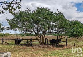 Foto de inmueble en camino conocido, Col. El Chicle C.P. 94263, Jamapa