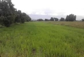Foto de inmueble en Camino De Los Pulqueros 1 #1, Col. San Diego C.P. 56230, Texcoco