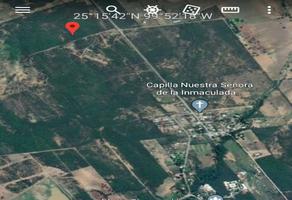 Foto de inmueble en Camino de vapor #20, Col. Tierras Coloradas C.P. 67606, Montemorelos
