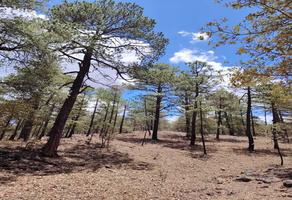 Foto de inmueble en CAMPESTRE, Col. Campestre de Durango II C.P. 34194, Durango