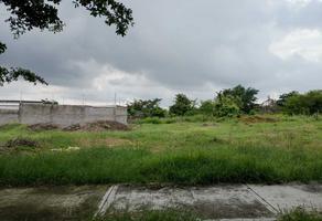 Foto de inmueble en  , Col. Campestre San Fermín C.P. 28504, Cuauhtémoc