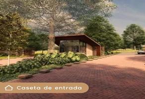 Foto de inmueble en Terreno - Venta, Col. Cantizal C.P. 66188, Santa Catarina
