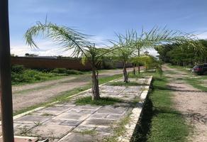 Foto de inmueble en Campo La Leona, Col. Tetecalita C.P. 62768, Emiliano Zapata