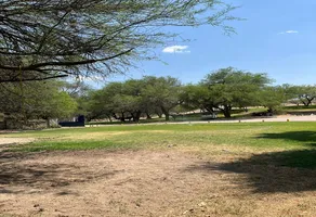 Foto de inmueble en CAÑADA DE ALONSO, Col. Villa Hidalgo Centro C.P. 47250, Villa Hidalgo