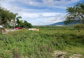 Foto de inmueble en Carretera a San Juan Evangelista, Col. Ixtlahuacan de los Membrillos C.P. 45850, Ixtlahuacán de los Membrillos