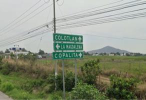Foto de inmueble en Carretera colotlan km 17 , Col. Colotlan Centro C.P. 46200, Colotlán